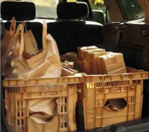 Peace of Mind on the Move: Insurance and Liability Protection